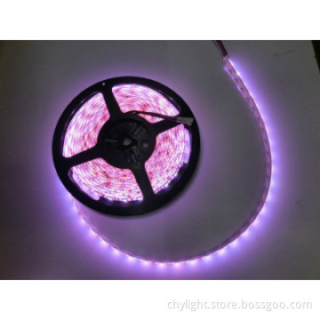 Waterproof SMD5050 Flexible 12V Brightness LED Strip